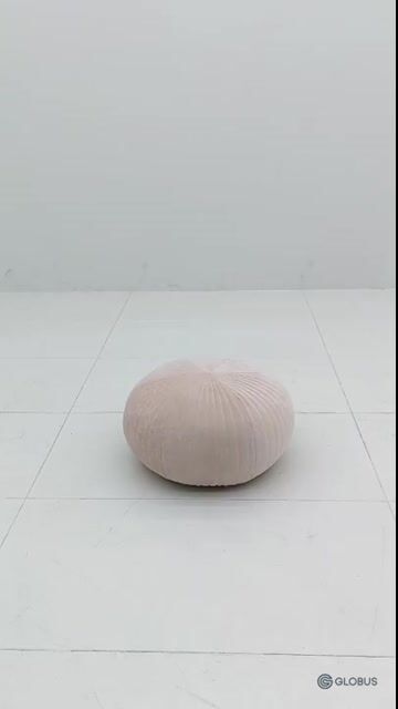 product preview image